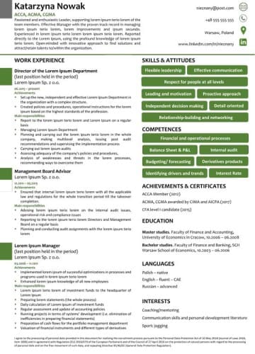 Profesjonalne CV wzór