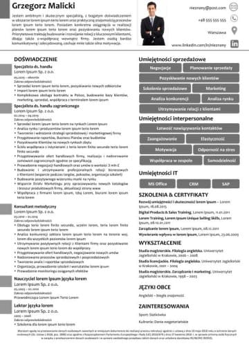 Wzór profesjonalnego CV